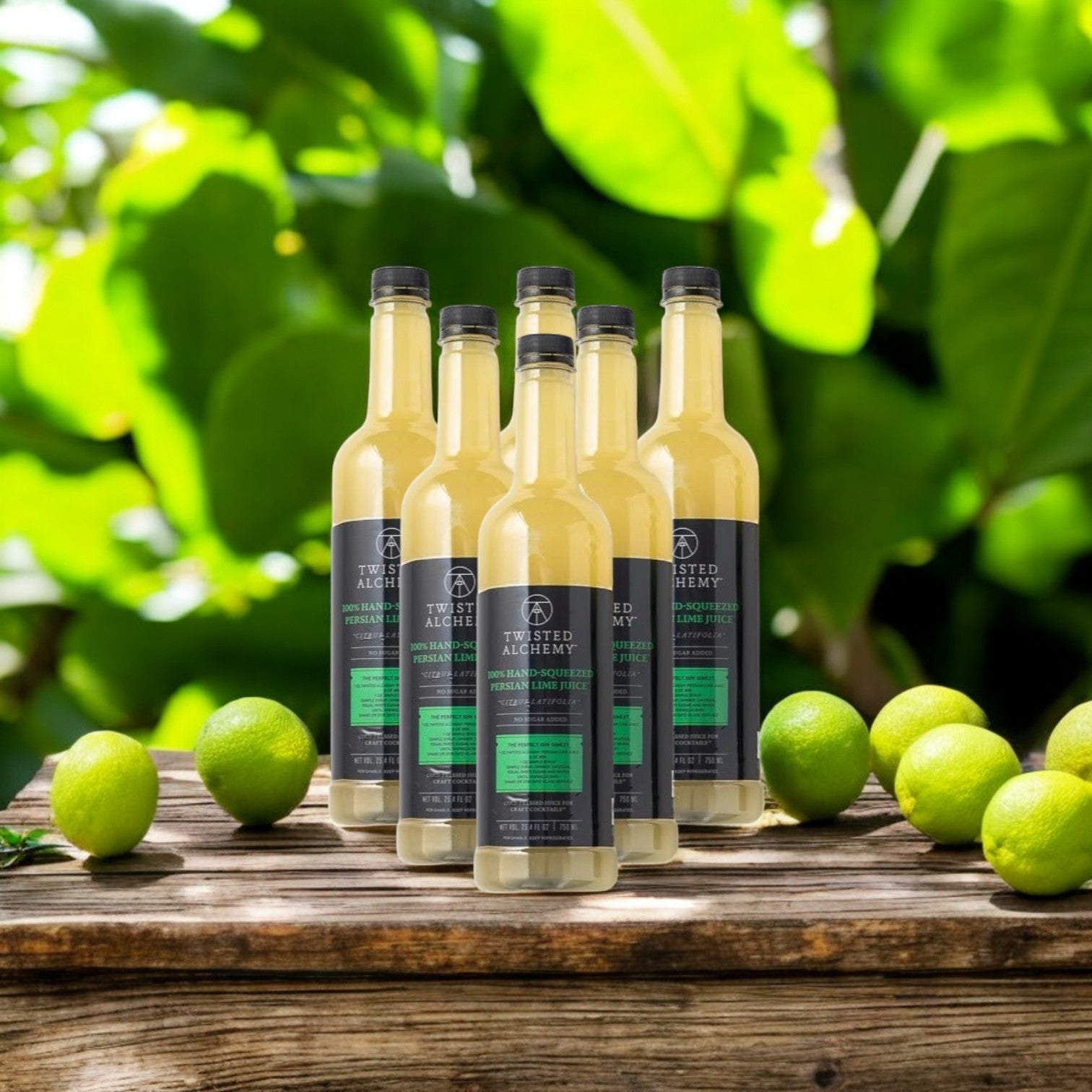 Twisted Alchemy, 6 Bottles, 100% Hand-Squeezed Persian Lime Juice Fresh Cold Pressed