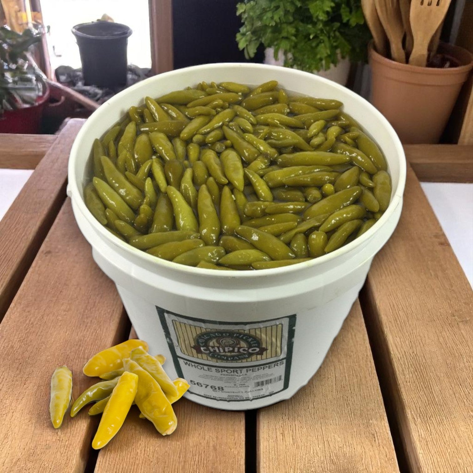 A 1/2 gallon jar of Vienna Beef Chipico Mild Sport Peppers sits on a wooden surface, filled with Chicago-style peppers in tangy brine, with a few mild sport peppers placed in front of the container.