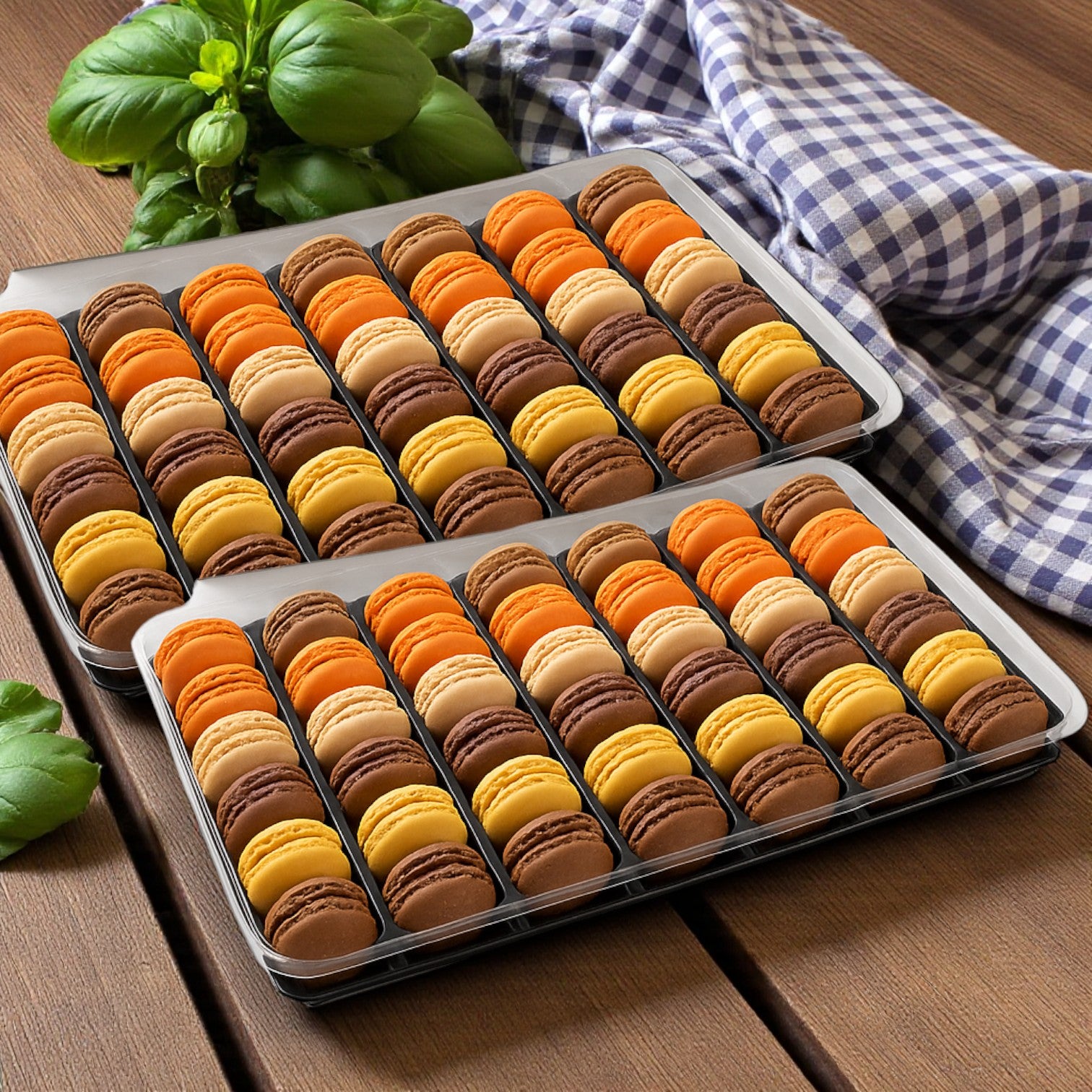 Pasquier Cookie Macaron Assorted 1 Case, 2 Trays-  144 Total Count