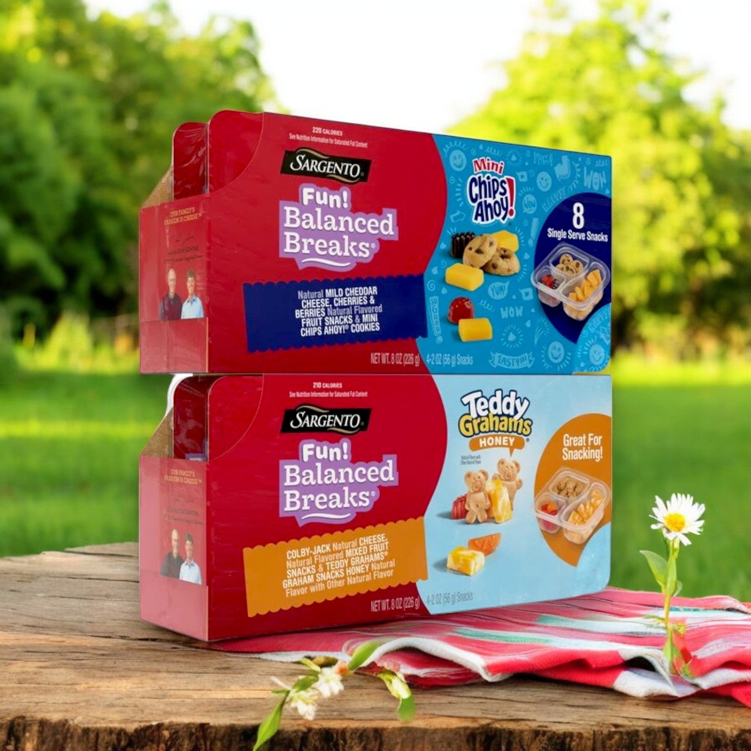 Sargento Fun! Balanced Breaks, Variety Pack | 2 oz, 24 ct