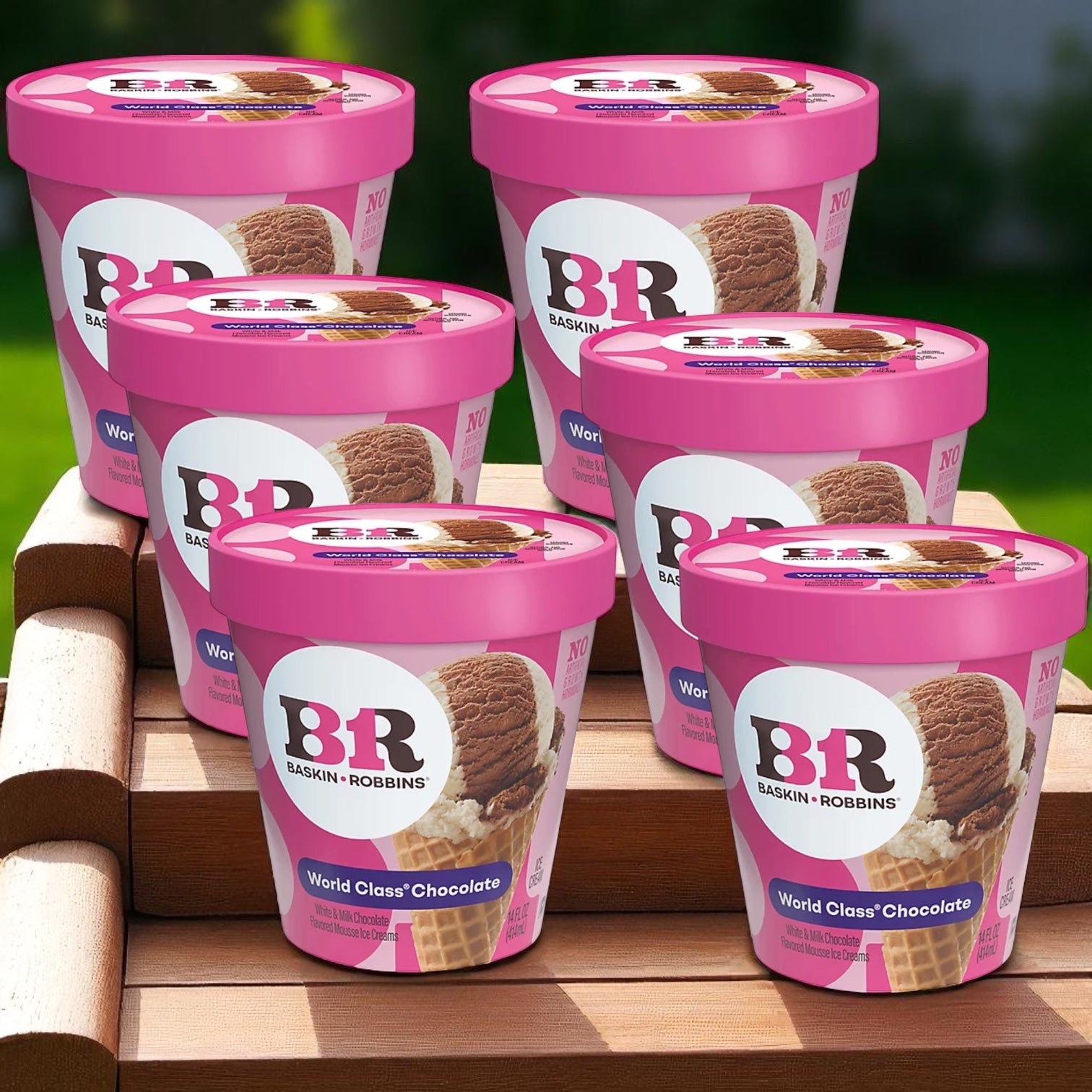 Six 14 oz tubs of Baskin Robbins World Class Chocolate Ice Cream (6 count) are arranged outdoors on wooden steps, with greenery blurred in the background.