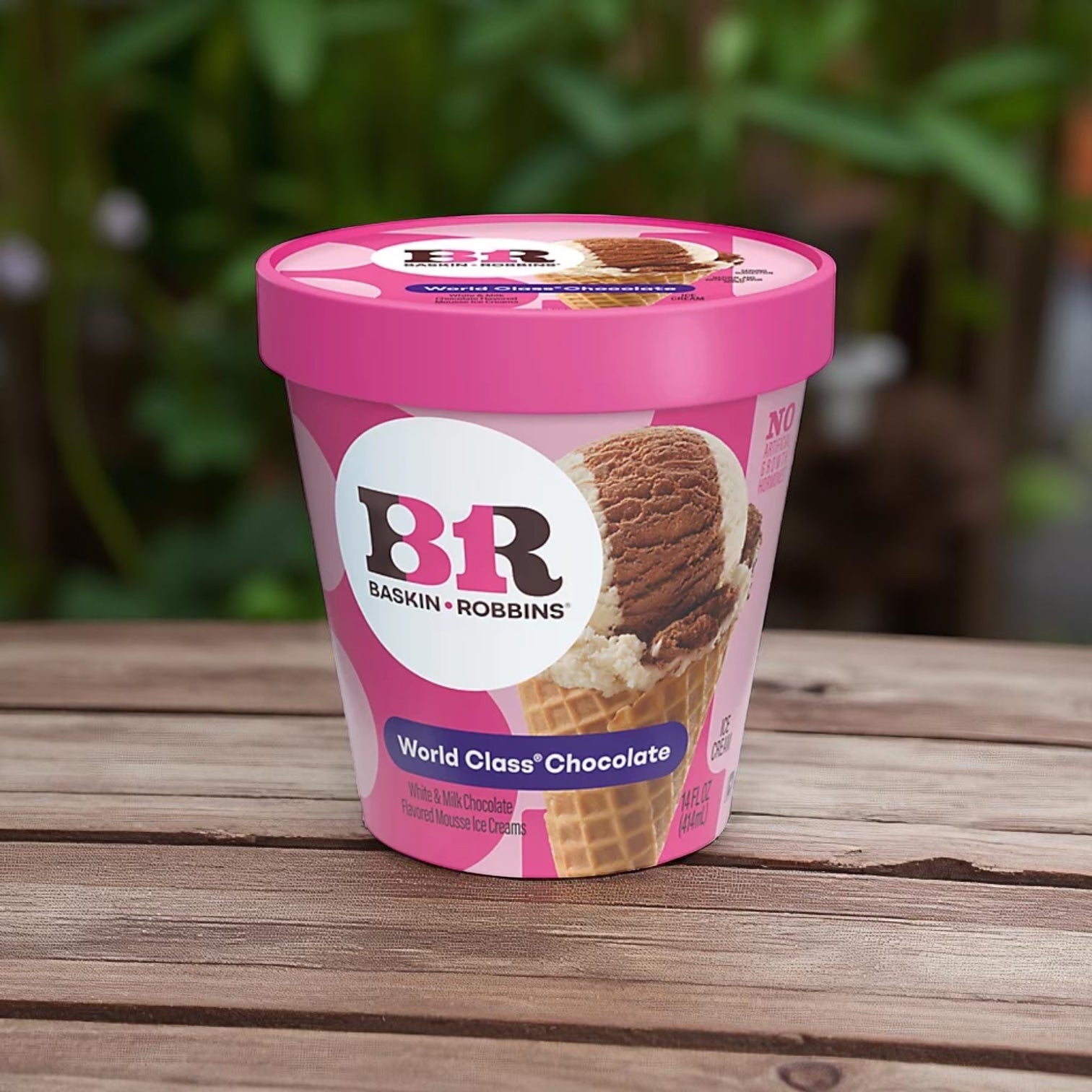 A 14 oz container of Baskin Robbins Ice Cream World Class Chocolate from a 6-count pack rests on a wooden surface with a blurred green background.