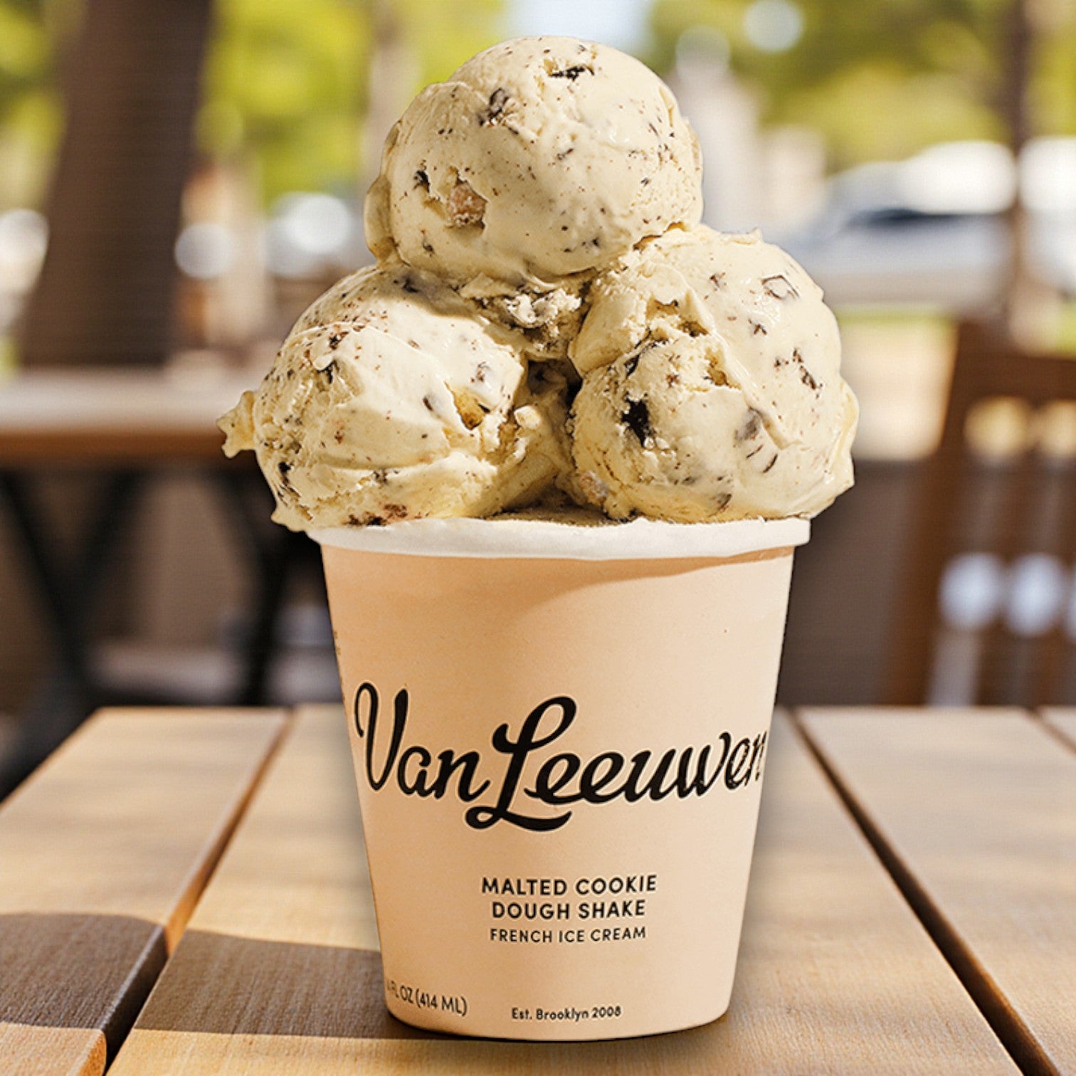 Van Leeuwen Malted Cookie Dough Shake French Ice Cream – 14 fl oz