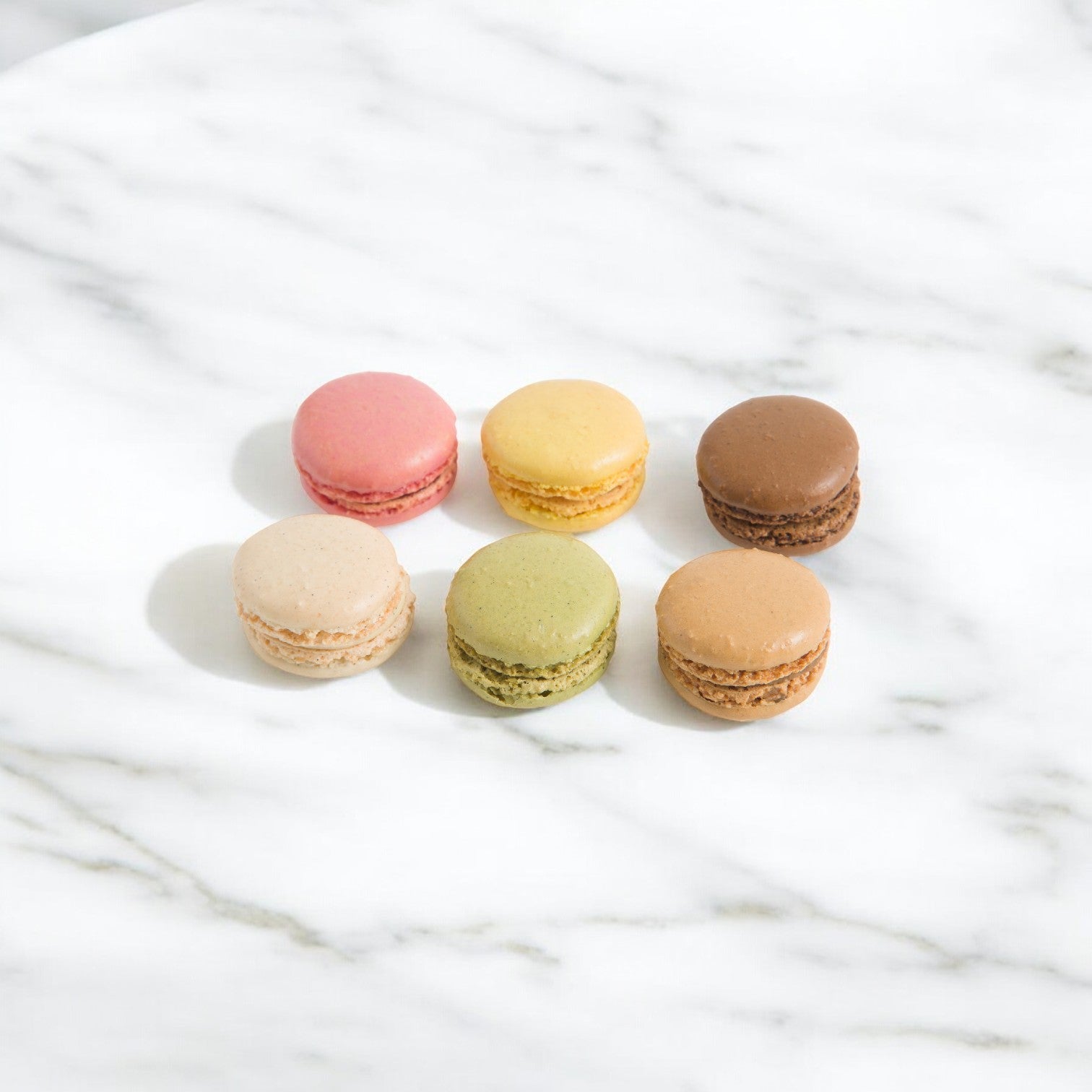 A set of Pasquier Cookie Mini Assorted Macarons, with flavors in pink, yellow, brown, beige, and green hues, elegantly sits on a white marble surface.
