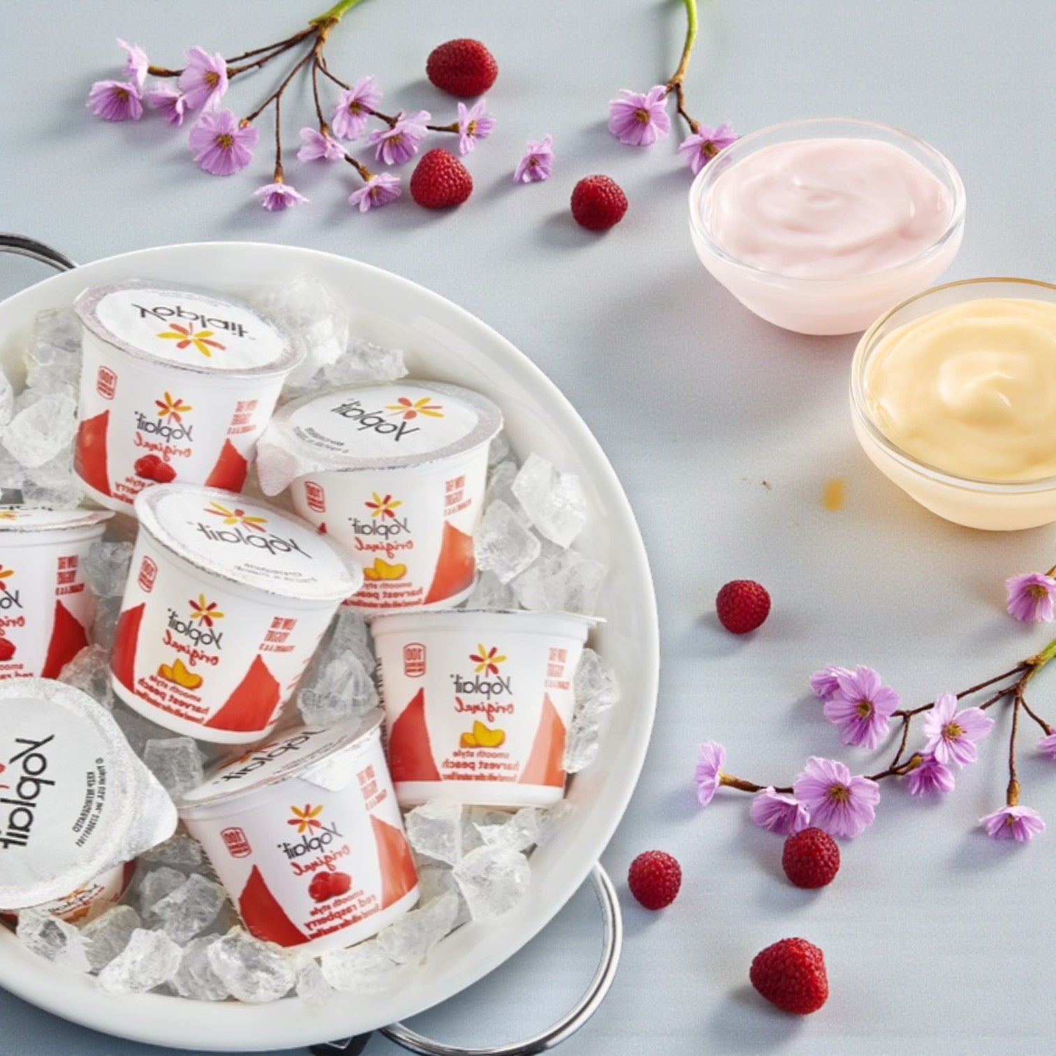 Yoplait Original Yogurt Variety Pack — Raspberry & Peach (48 × 4 oz)