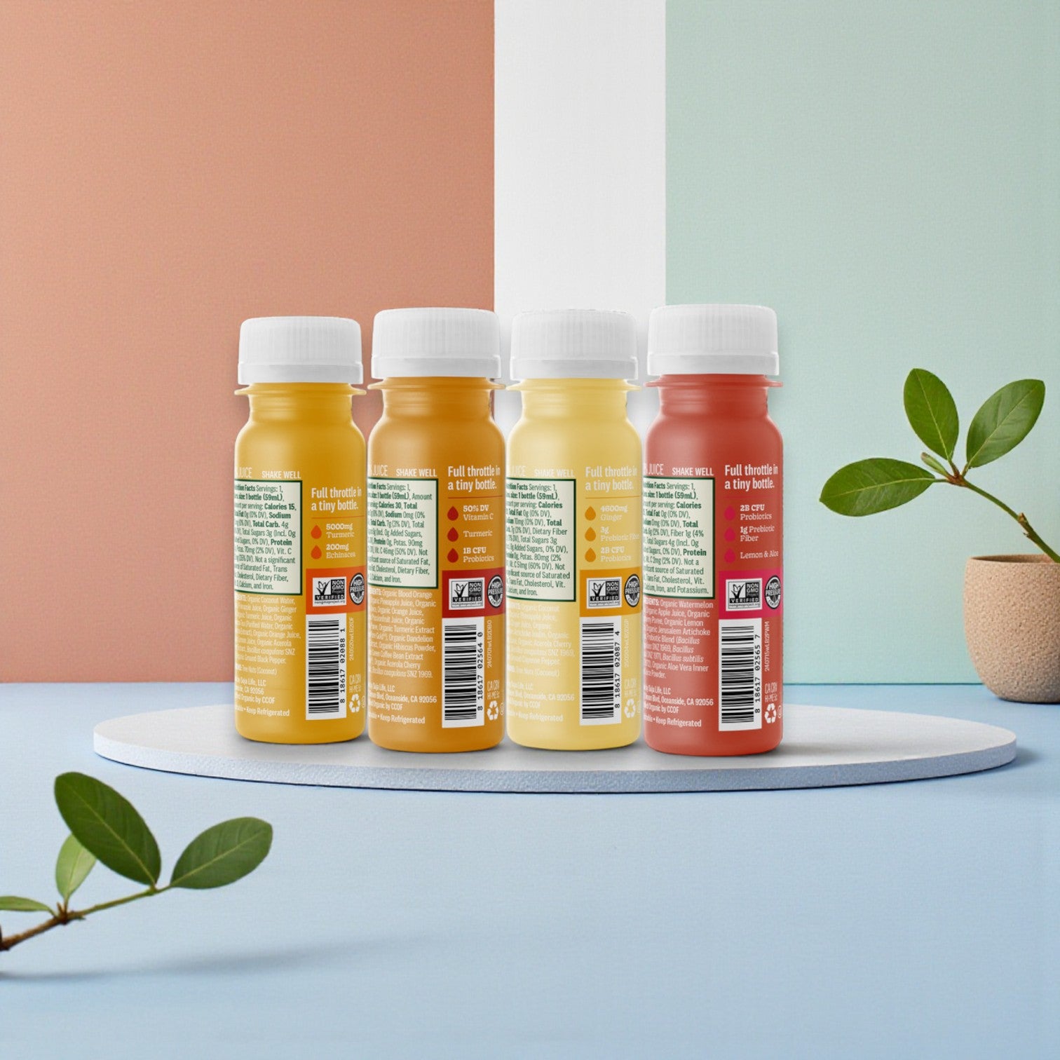 Suja Organic Wellness Shot Variety Combo – 2 fl oz Each