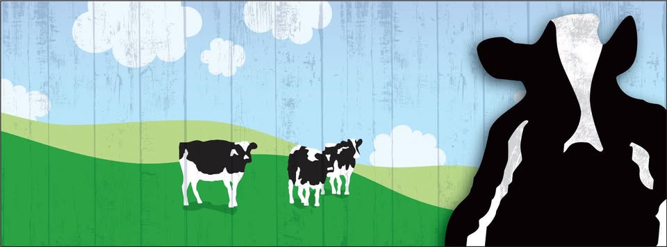Illustration of three black and white cows on a green hillside with blue sky and clouds, featuring a large close-up of a cow on the right.