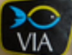A black rectangular sign features a stylized blue and yellow fish icon above the white text "VIA.