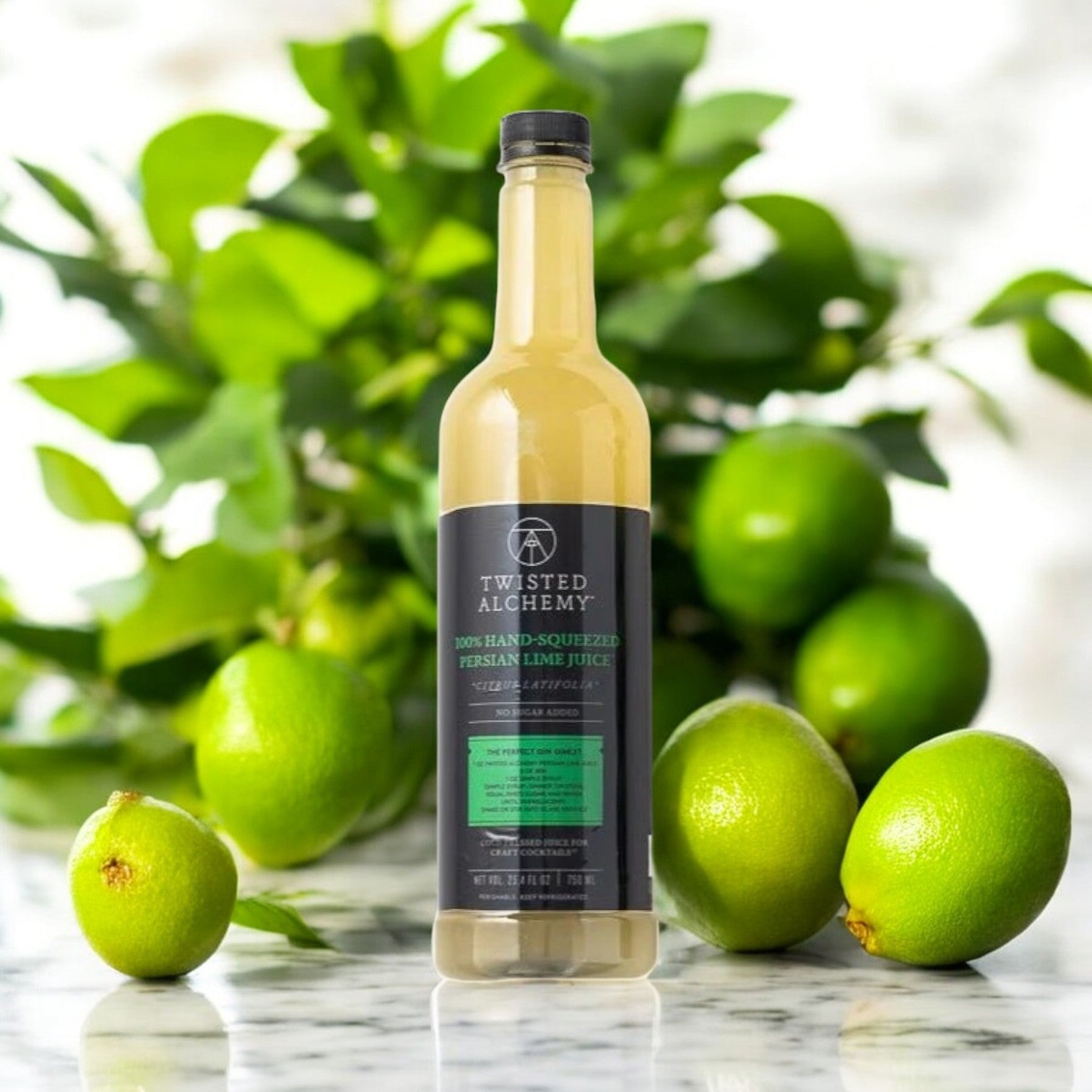 Twisted Alchemy, 6 Bottles, 100% Hand-Squeezed Persian Lime Juice Fresh Cold Pressed