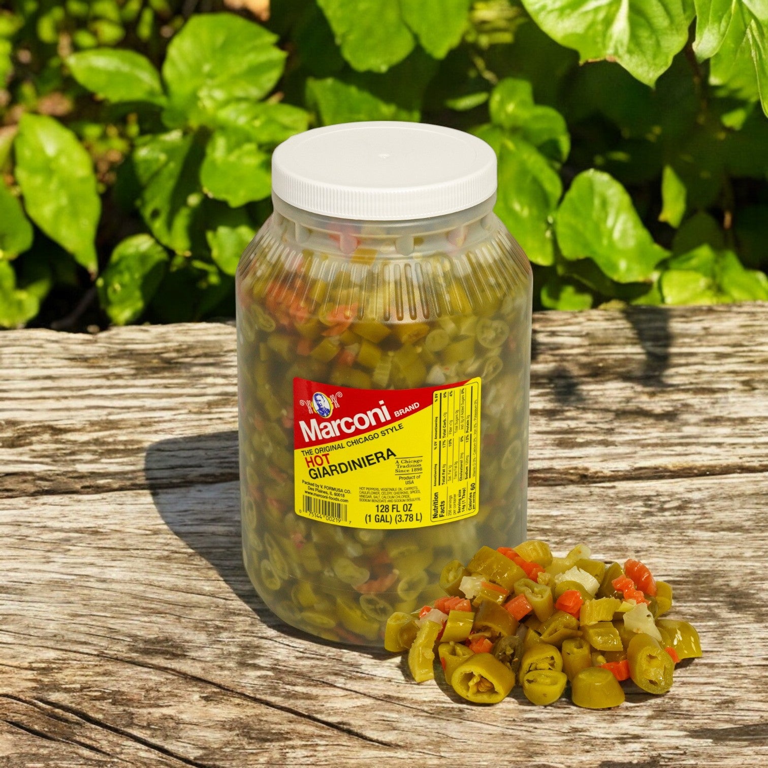 A 1-gallon jar of Marconi Giardiniera Hot from Marconi Foods is displayed on a wooden surface, with vibrant pickled vegetables spilled in front. Lush green leaves create a fresh backdrop.