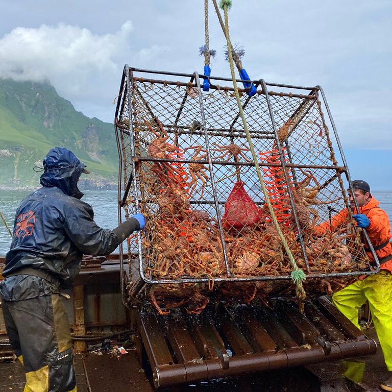 Fishers in waterproof gear expertly handle a large crab pot filled with Keyport's premium, sustainably sourced Golden Alaskan King Crabs (16/22 count, 10 lb box) on a boat amid a mountainous backdrop.