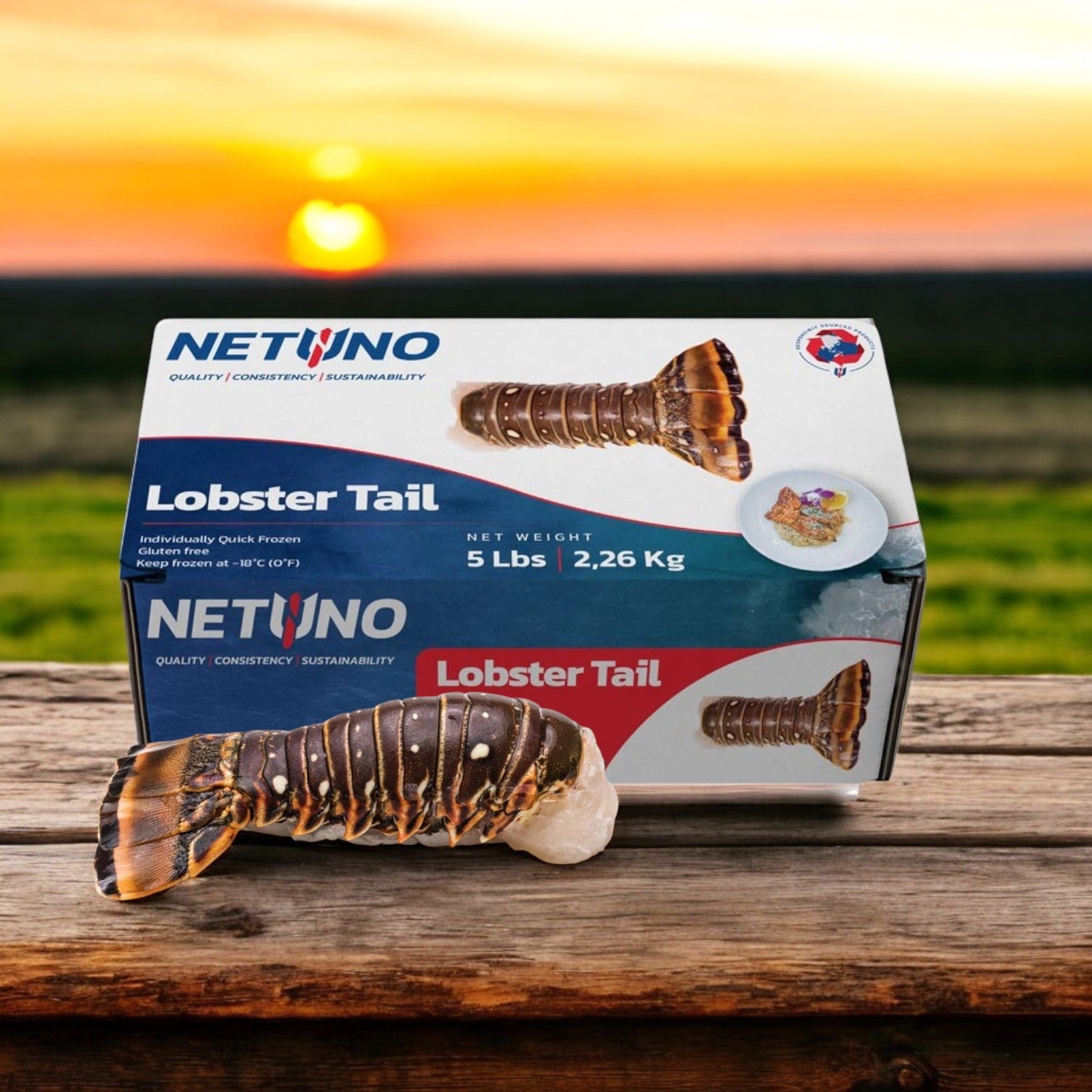 A box labeled "Netuno, Lobster Tails" showcasing an image of a rock lobster tail rests on a wooden surface, set against the backdrop of a beautiful sunset and scenic landscape. A raw rock lobster tail is placed in front, perfect for gourmet dining and sustainably sourced indulgence.