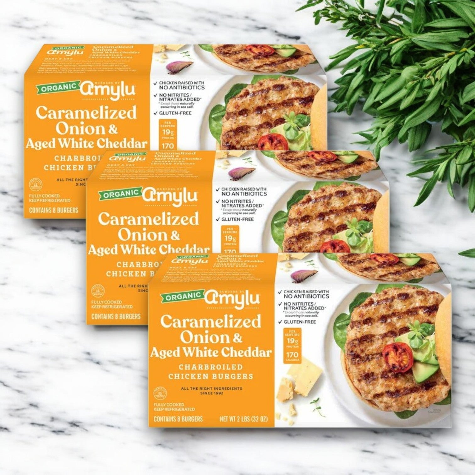 Amylu Organic Chicken Burger with Caramelized Onion & Aged White Cheddar – 32 oz, 24-Count