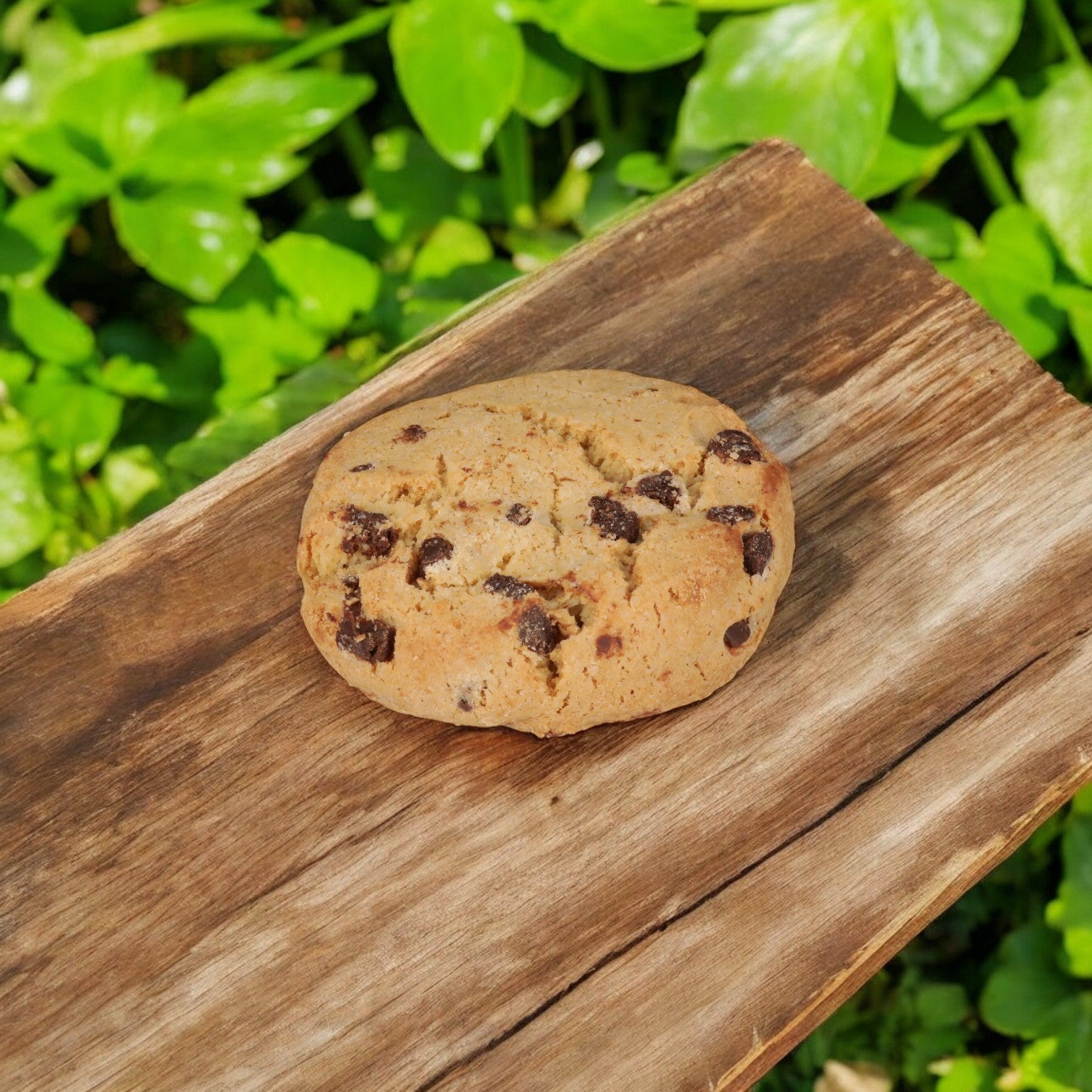 An Udi's gluten-free chocolate chip cookie from the 36-count case is placed on a wooden surface, surrounded by green leaves in the background.