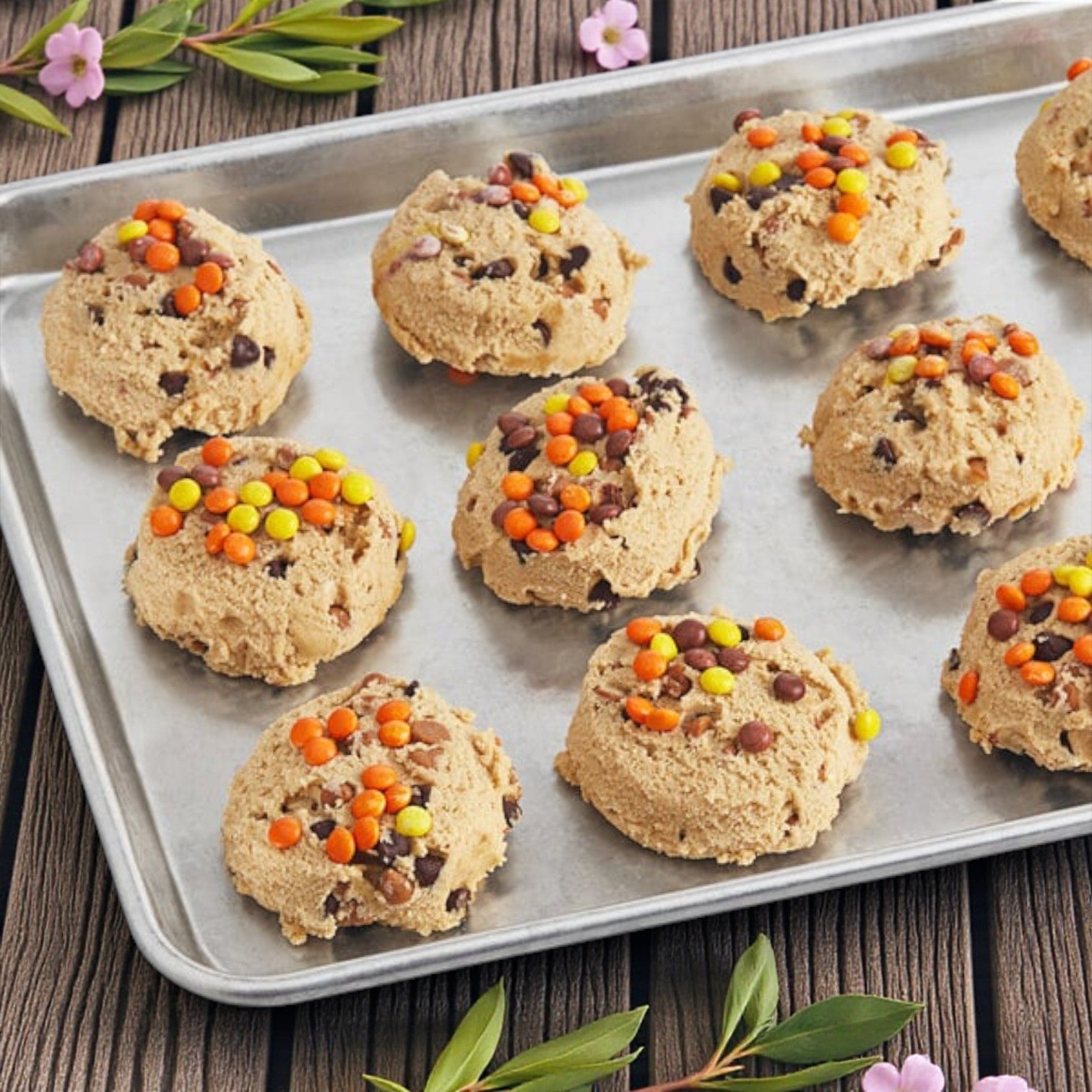 Frozen David’s Cookies – Peanut Butter with Reese’s® Cookie Dough, 4.5 oz Each (45 Count)