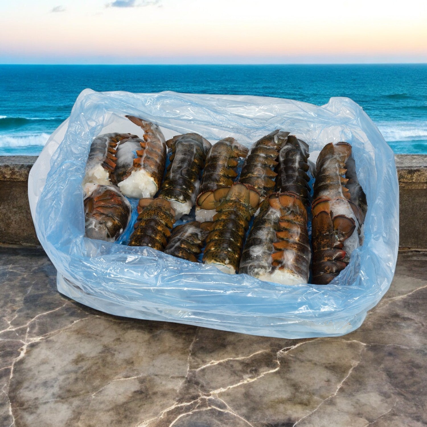 10 lbs. of Lobster Tail North Atlantic Premium 4 Ounce- 40 Lobster Tails Total