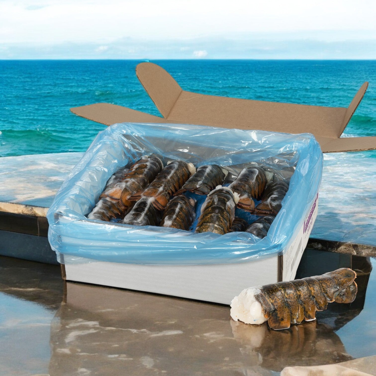 A cardboard box labeled "Atlantic Premium" contains several frozen North Atlantic premium lobster tails (5-6 oz, 10 lb). It sits on a stone surface with an ocean view, showcasing the appeal of these lobsters.