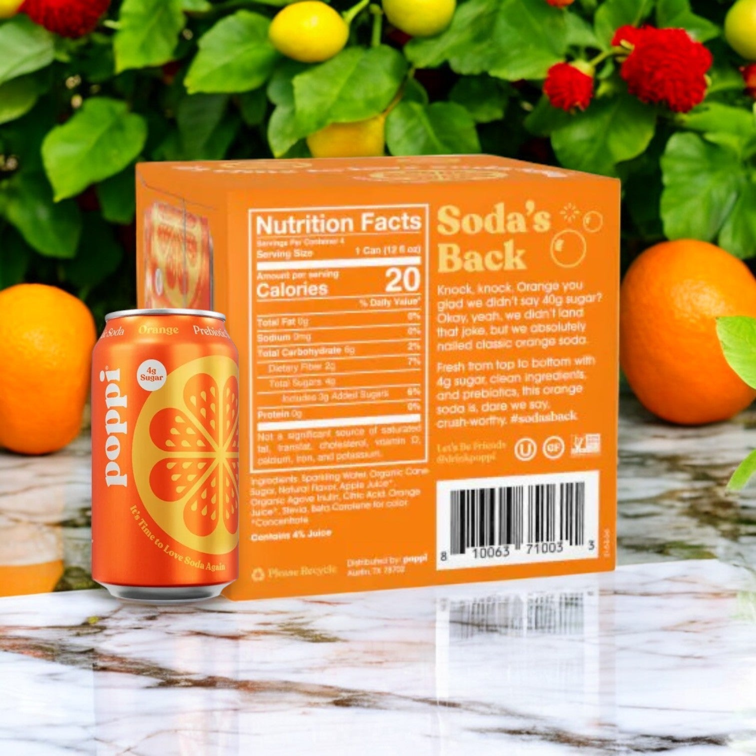 A can and box of Poppi Prebiotic Soda, Orange, 12 fl oz from a 4-pack sit on a marble surface surrounded by greenery and orange trees. This gut-friendly soda highlights visible nutritional facts and promises a refreshing taste, just like its Raspberry Rose variant.