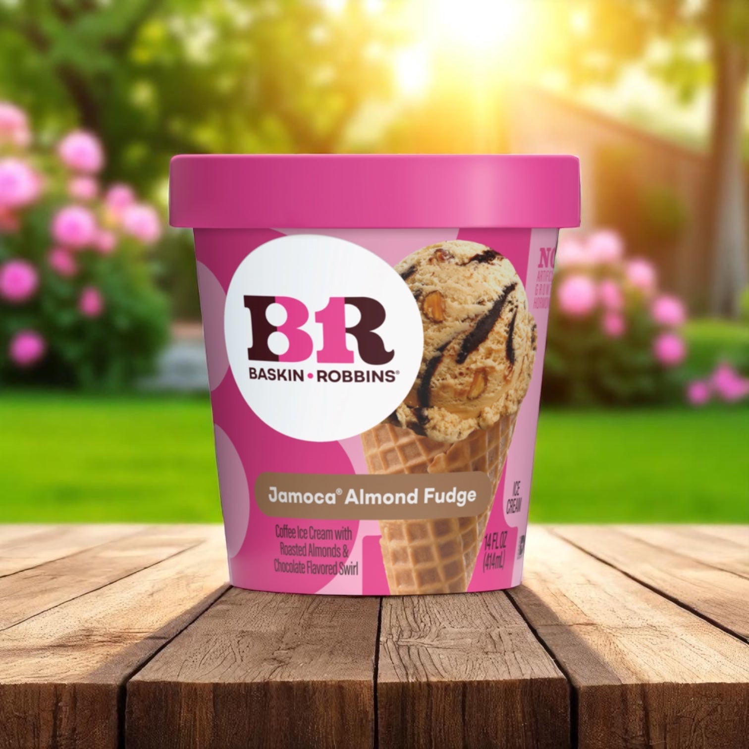 A 14 oz Easy Lunches Baskin Robbins Ice Cream Jamoca Almond Fudge container rests on a wooden table outdoors, showcasing its coffee-flavored ice cream and roasted almonds with a blurred garden backdrop.