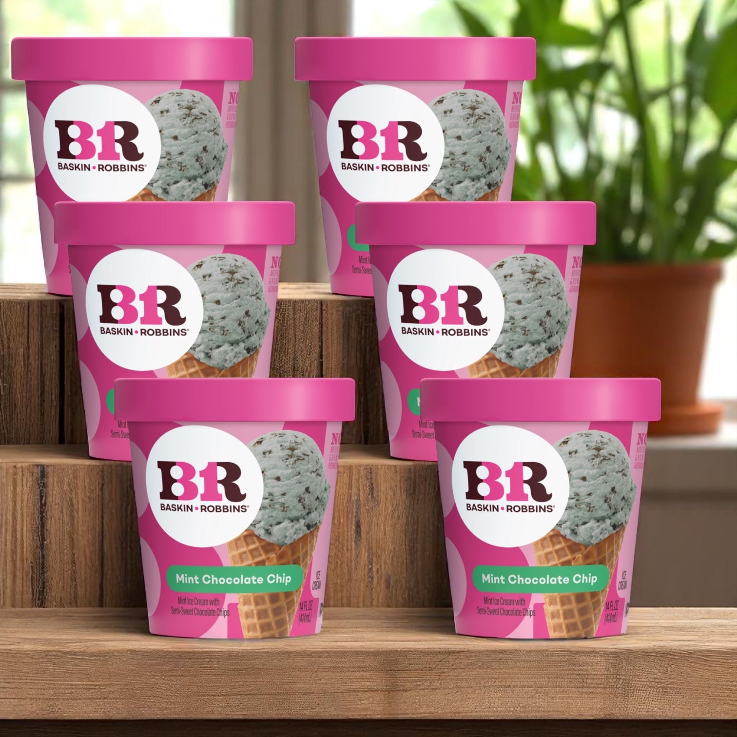 Six tubs of Easy Lunches Baskin Robbins Ice Cream Mint Chocolate Chip (3-gallon each) are stacked on wooden steps, with a potted plant in the background.