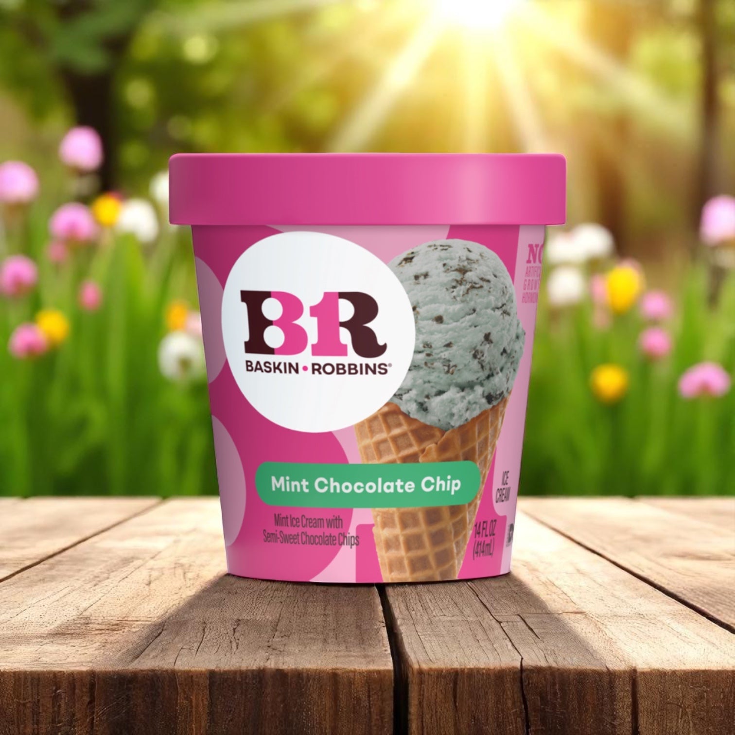 A 14 oz tub of Easy Lunches Baskin Robbins Ice Cream Mint Chocolate Chip rests on a wooden surface outdoors, sunlight streaming in with a blurred garden backdrop.