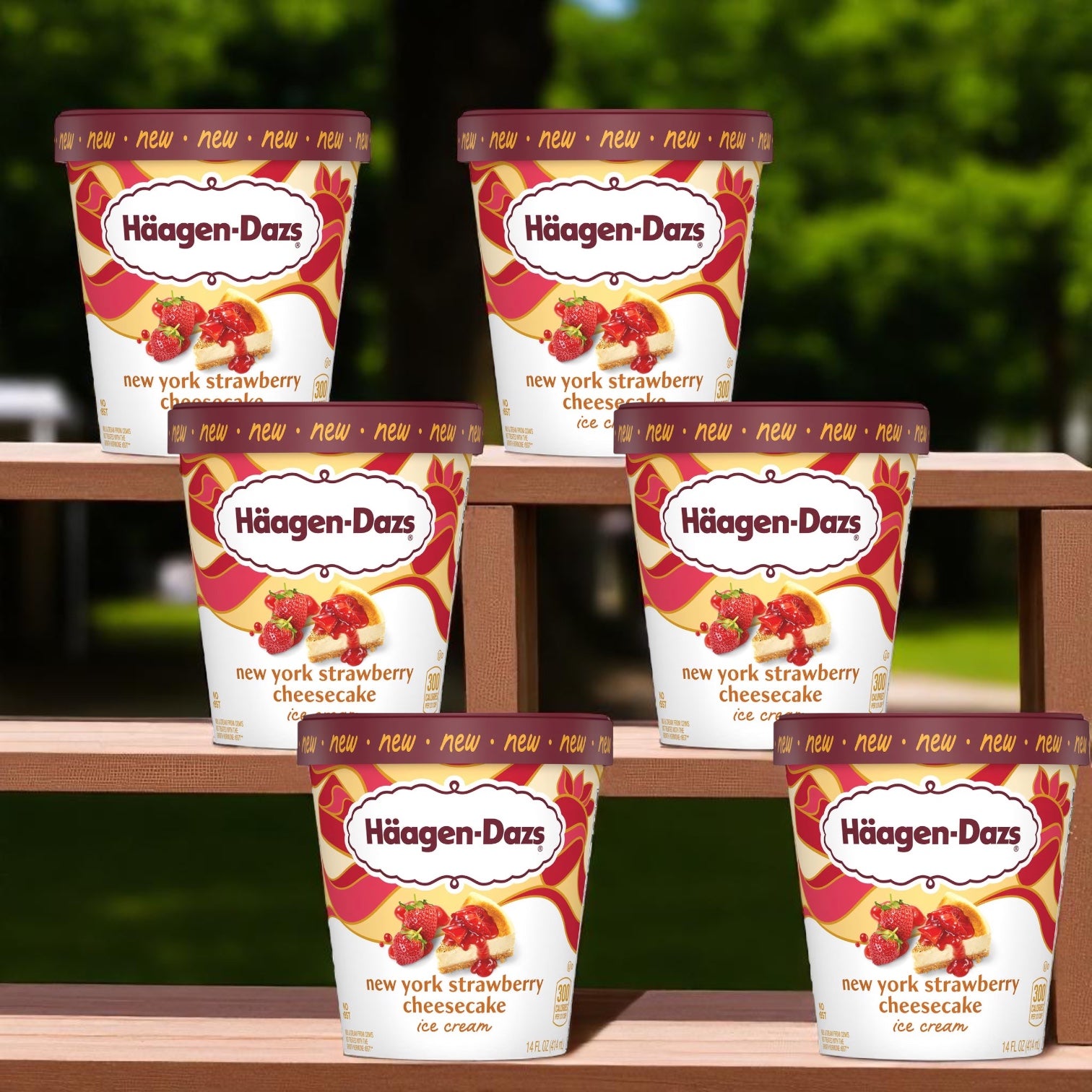 Haagen-Dazs New York Strawberry Cheesecake Ice Cream-14 FL Oz- 6 Cases
