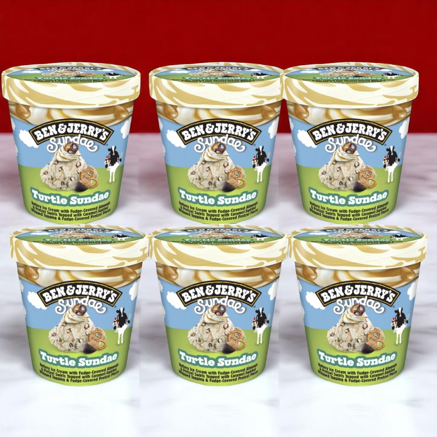 Ben & Jerry's Turtle Sundae Buttery Ice Cream Pint- 14.4 FL Oz- 6 Cases