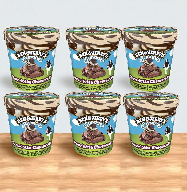 Ben & Jerry's Ice Cream, Choco-Lotta Cheesecake, Sundae-14.4 FL Oz-6 Cases