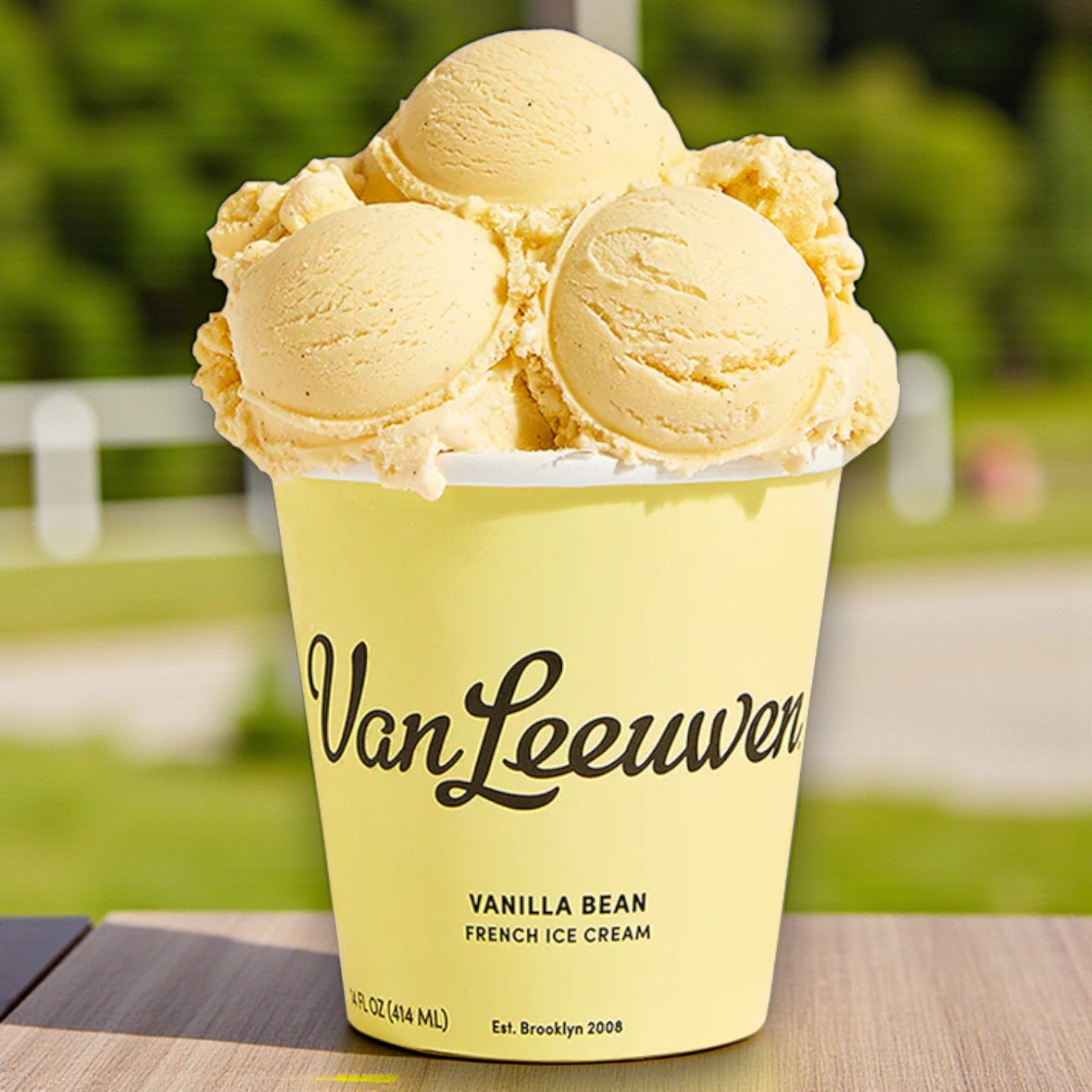 A 14 fl oz Van Leeuwen Vanilla Bean Ice Cream cup, made with Madagascar vanilla beans, sits on a wooden surface outdoors.