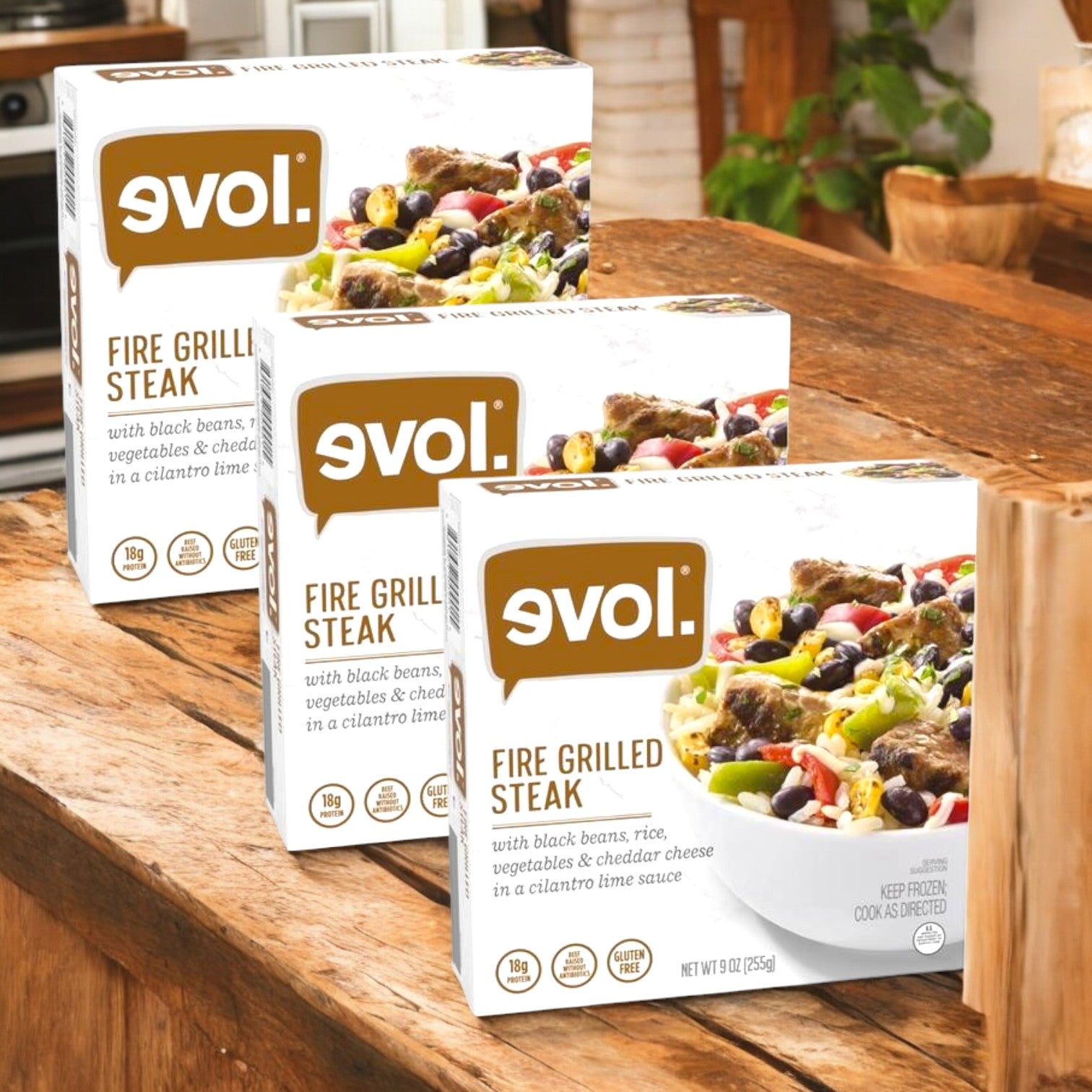 Evol Gluten Free Fire Grilled Steak, 9 oz. - 3 Packs