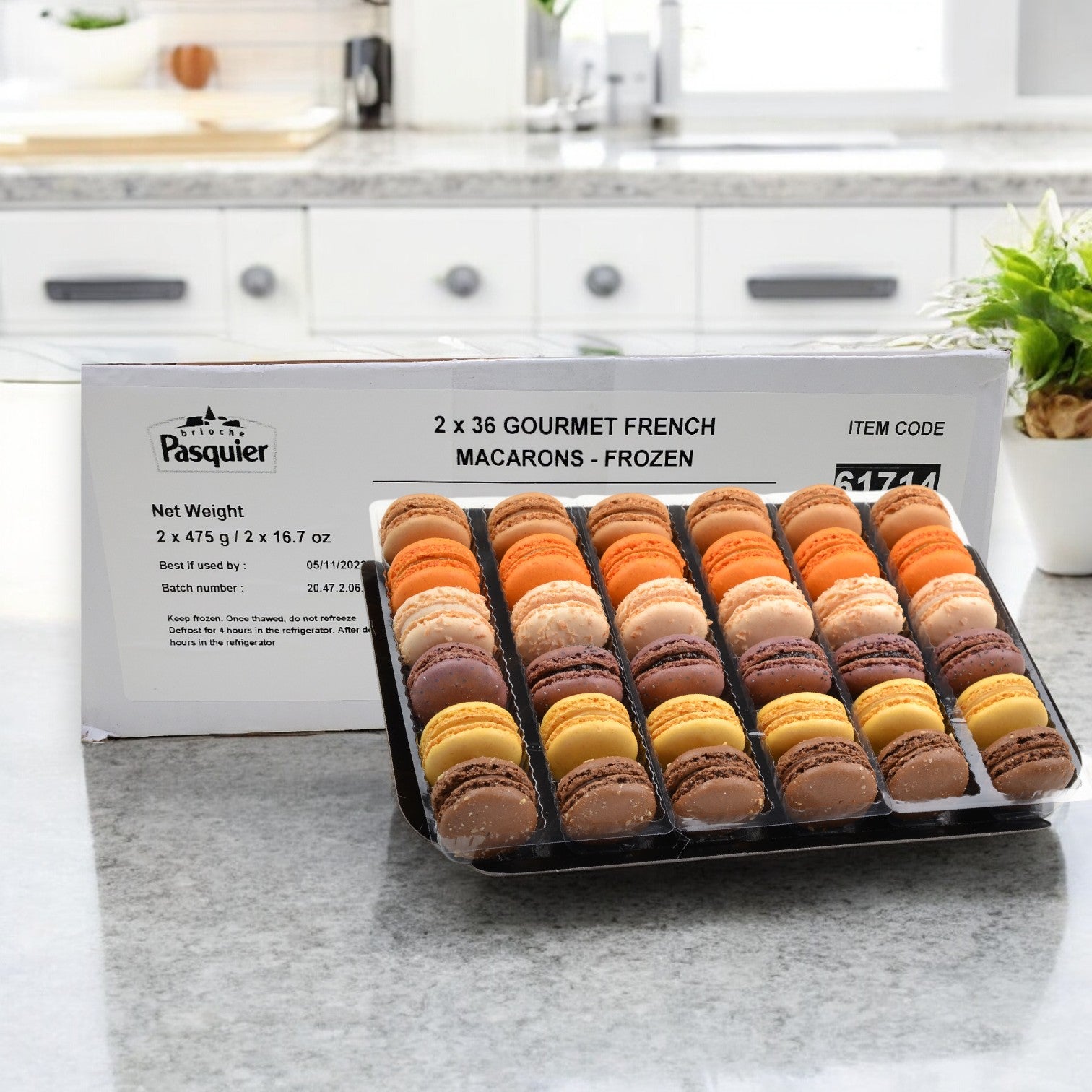 Pasquier Cookie Macaron Assorted 1 Case, 144 Total Count