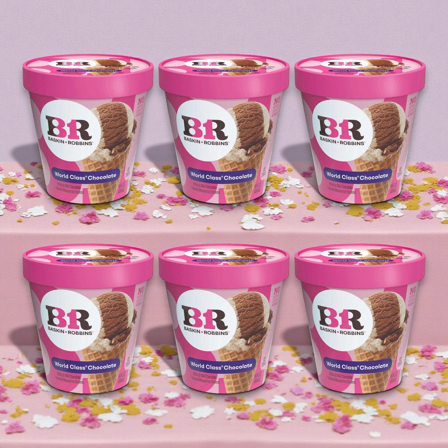 Baskin-Robbins World Class Chocolate Ice Cream – 14 oz (6 Count)