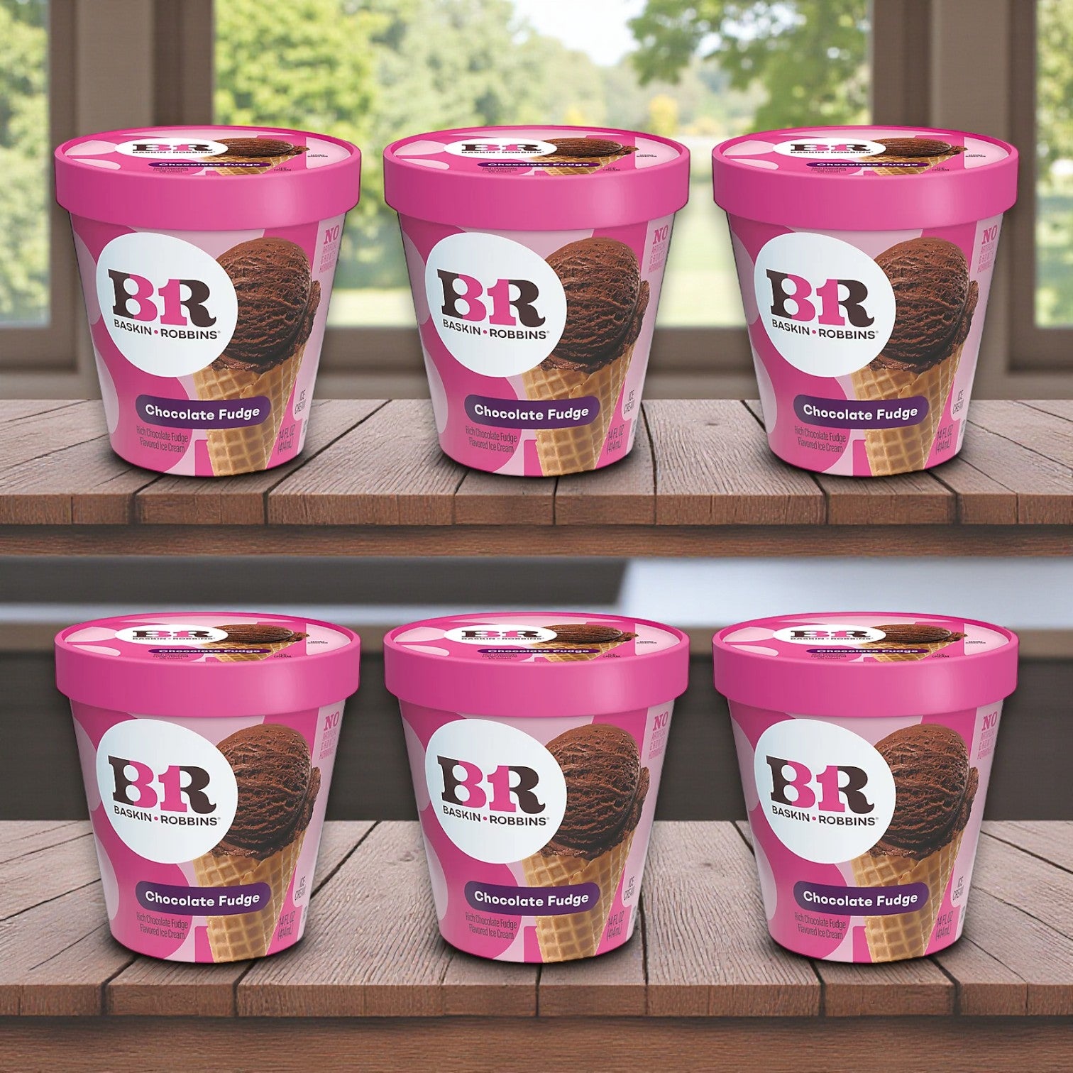 Baskin Robbins Ice Cream Chocolate Fudge 6 Container (14 oz)