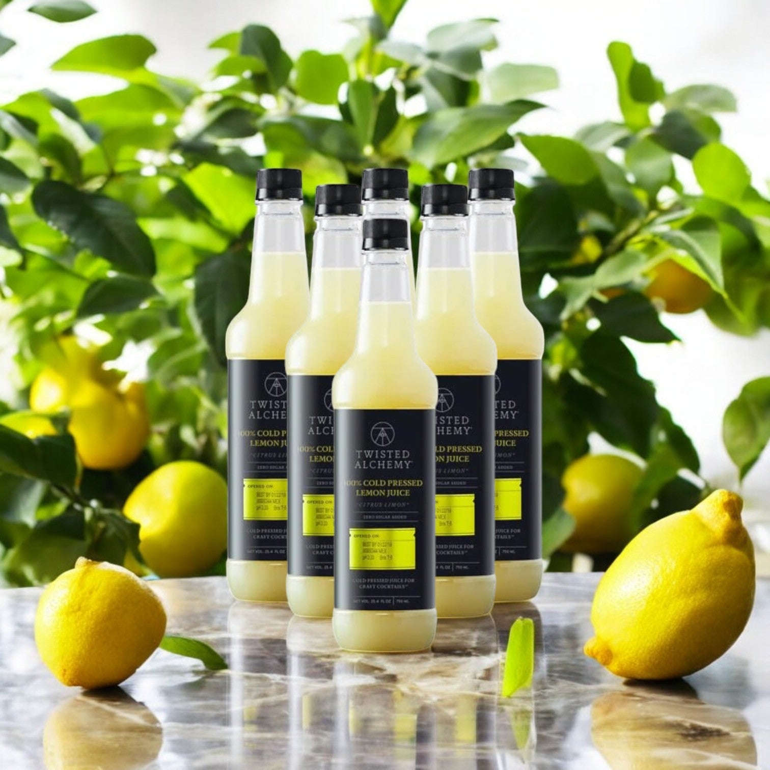 Twisted Alchemy, 6 Bottles, 100% Eureka Lemon Juice Fresh Cold Pressed
