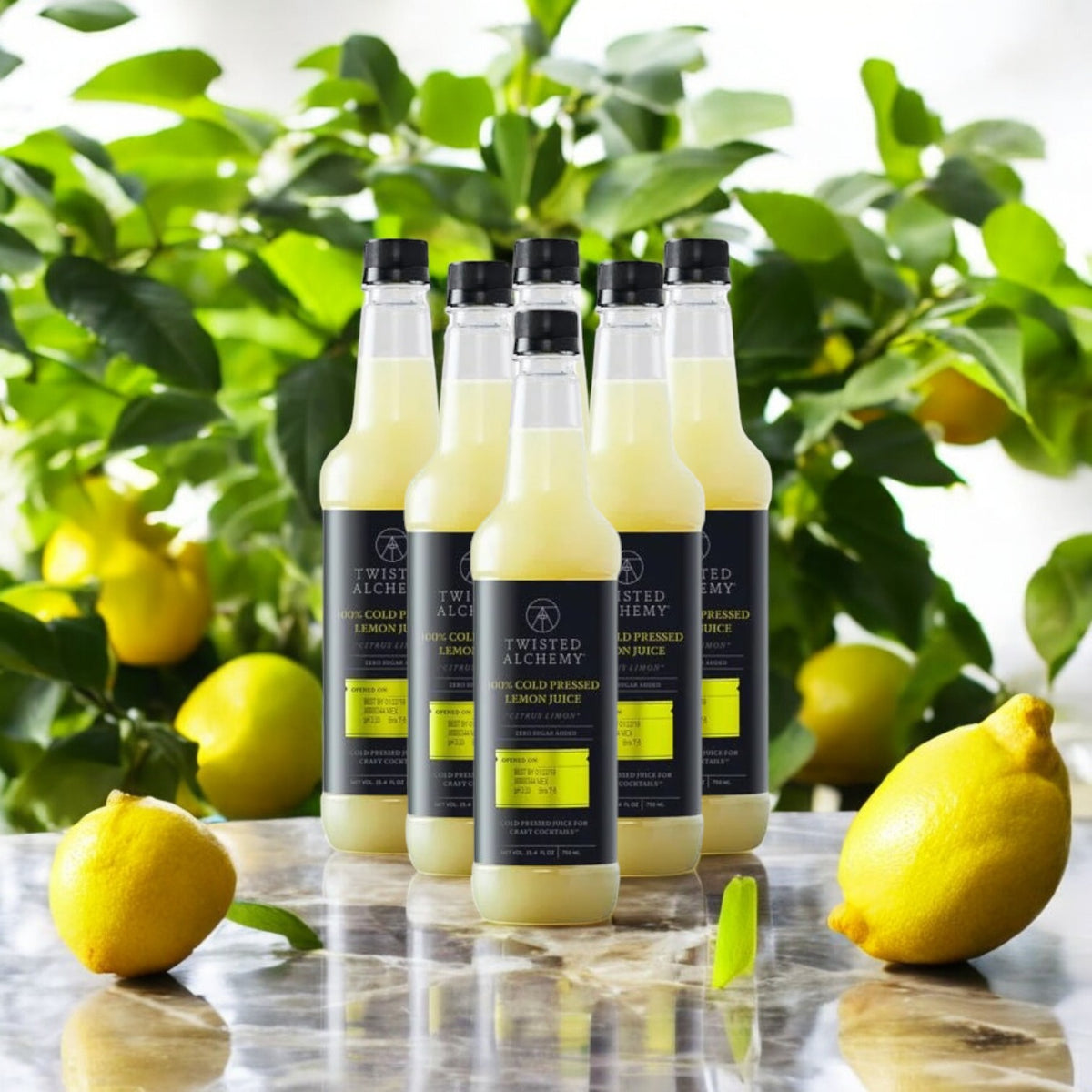 Twisted Alchemy, 6 Bottles, 100% Eureka Lemon Juice Fresh Cold Pressed