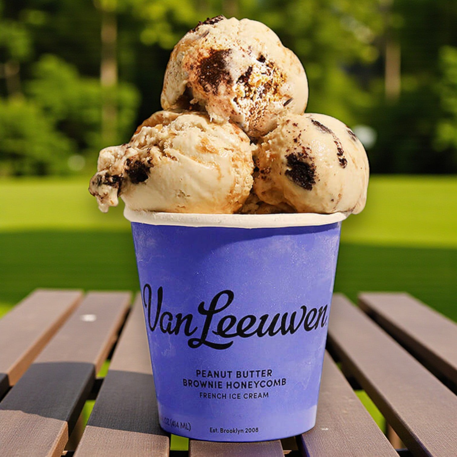 Van Leeuwen Peanut Butter Brownie Honeycomb Ice Cream – 14 fl oz