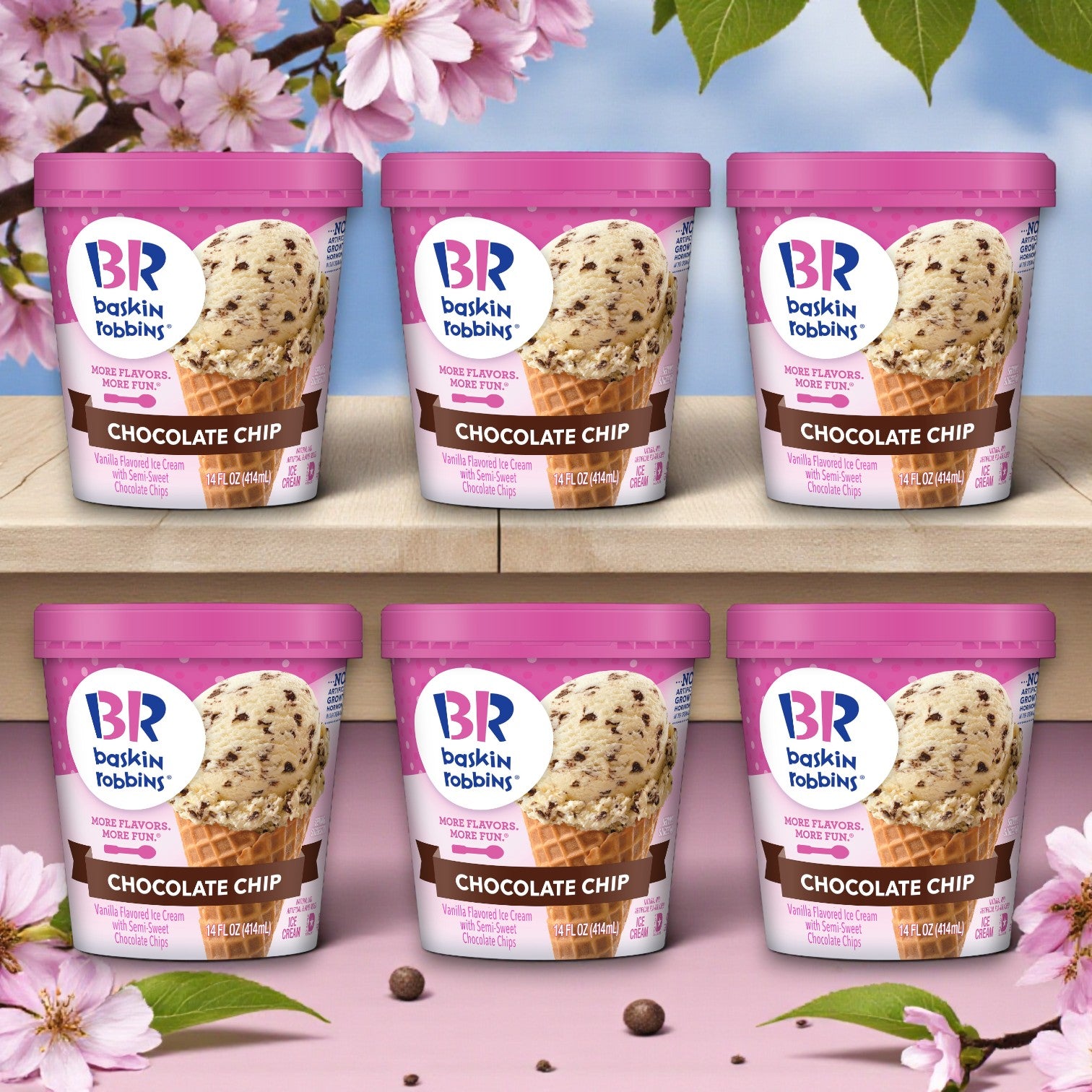 Baskin Robbins Ice Cream Chocolate Chip- 6 Containers- 14 oz each